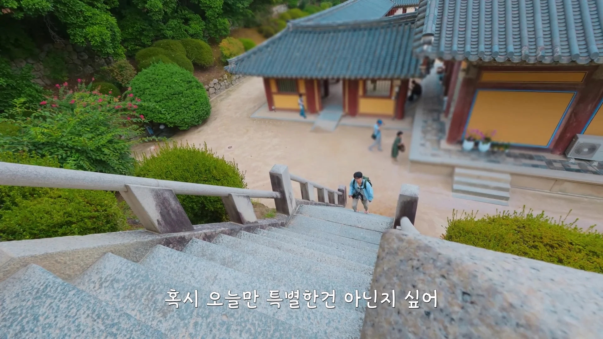 요즘 경주 불국사 근황 (11)