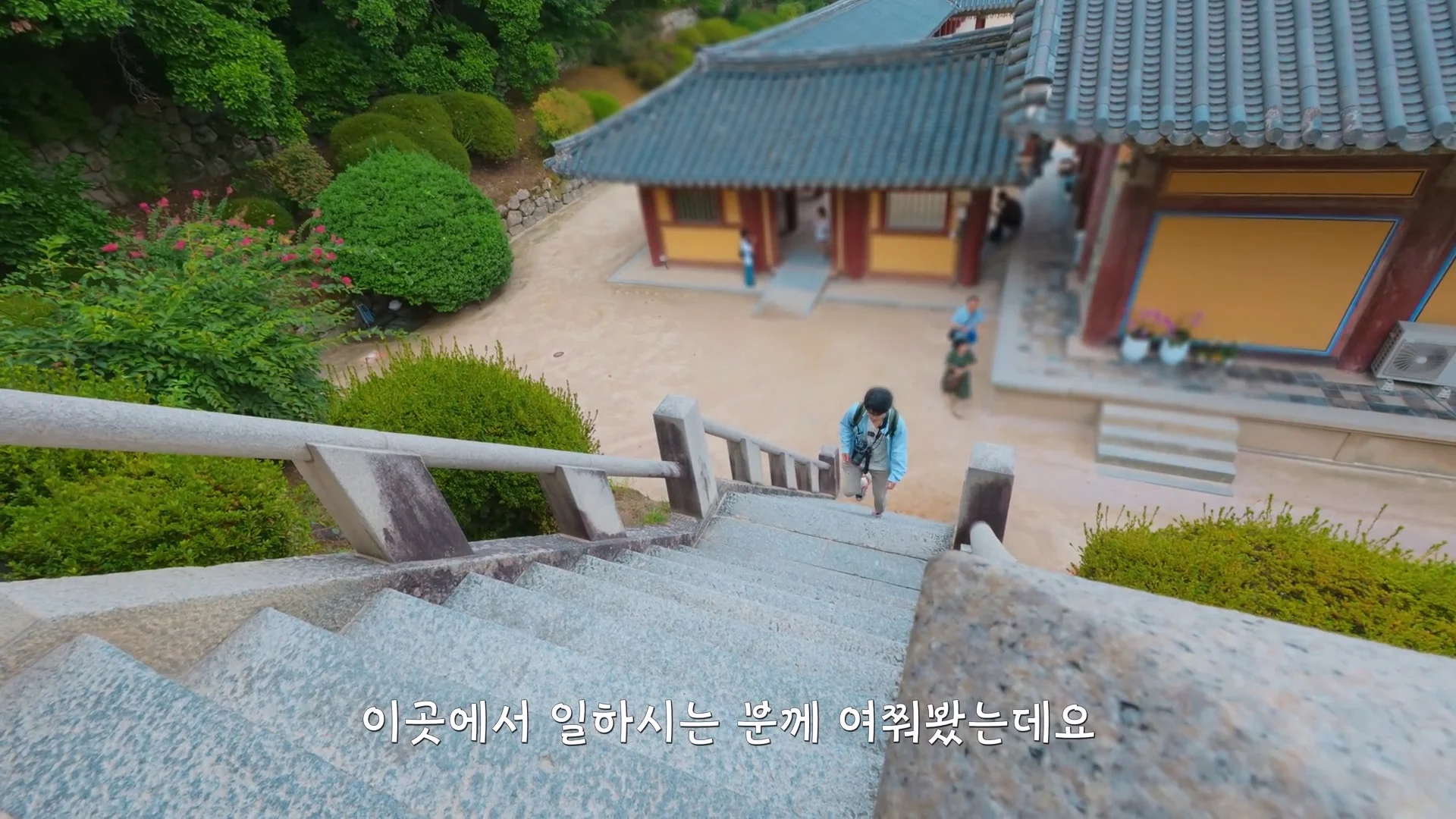요즘 경주 불국사 근황 (12)