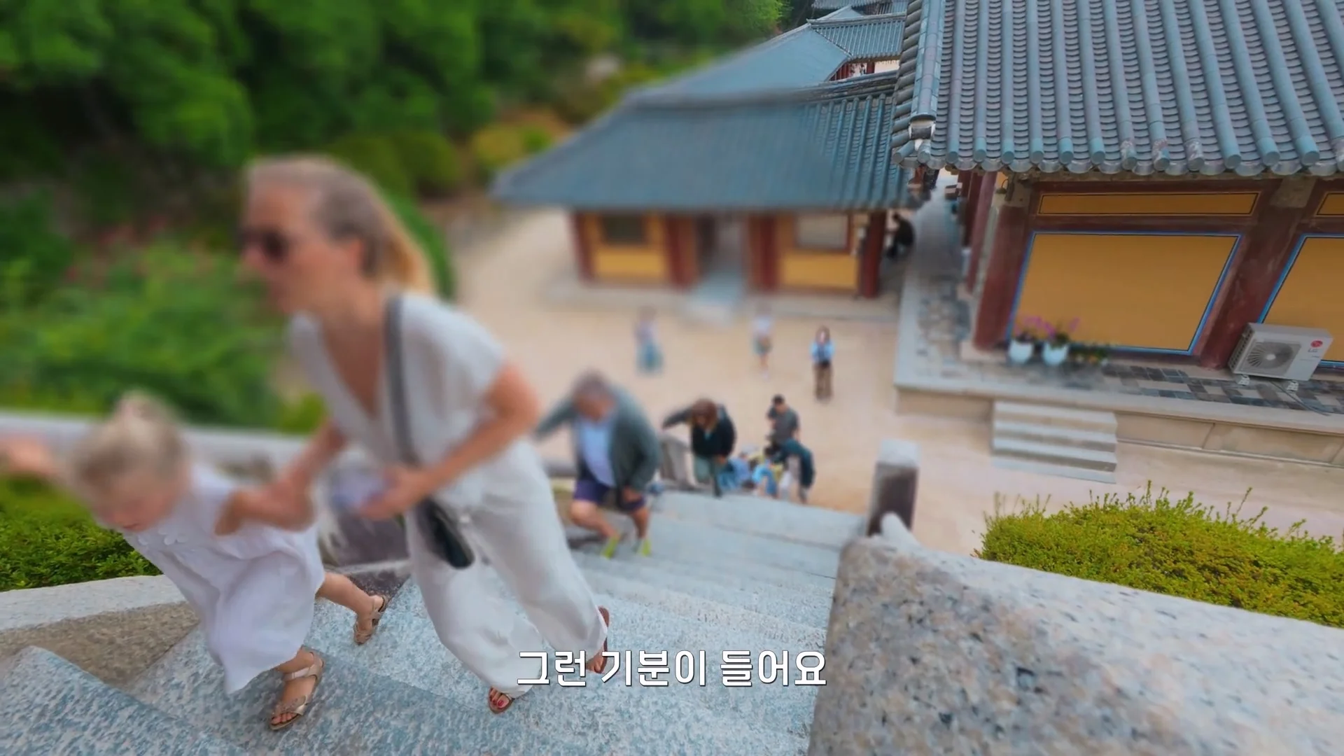 요즘 경주 불국사 근황 (5)