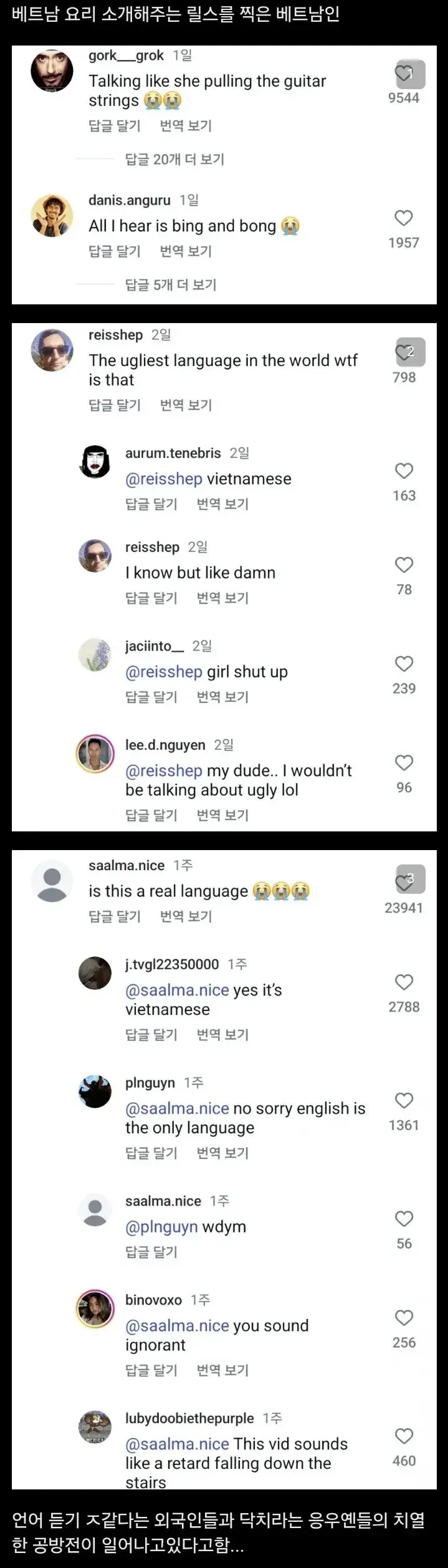베트남 릴스 대참사