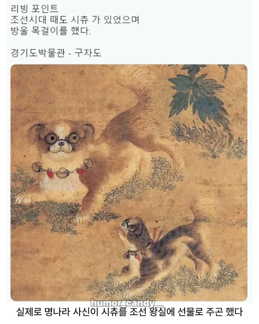 의외로 조선시대부터 있던 견종 (4)