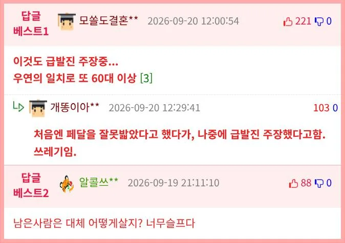 트럭 돌진애 봉사활동 나온 엄마와 아들 사고로 사망 (2)