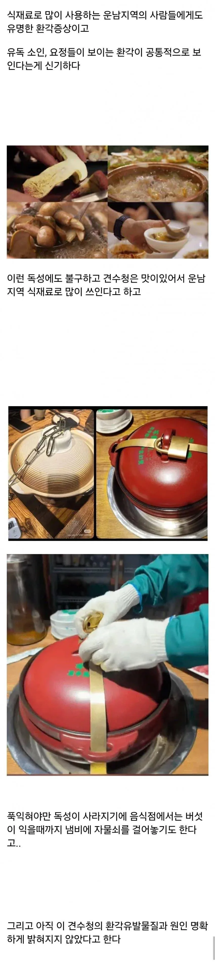 먹으면 이상한 환각이 보이는 독버섯 (3)
