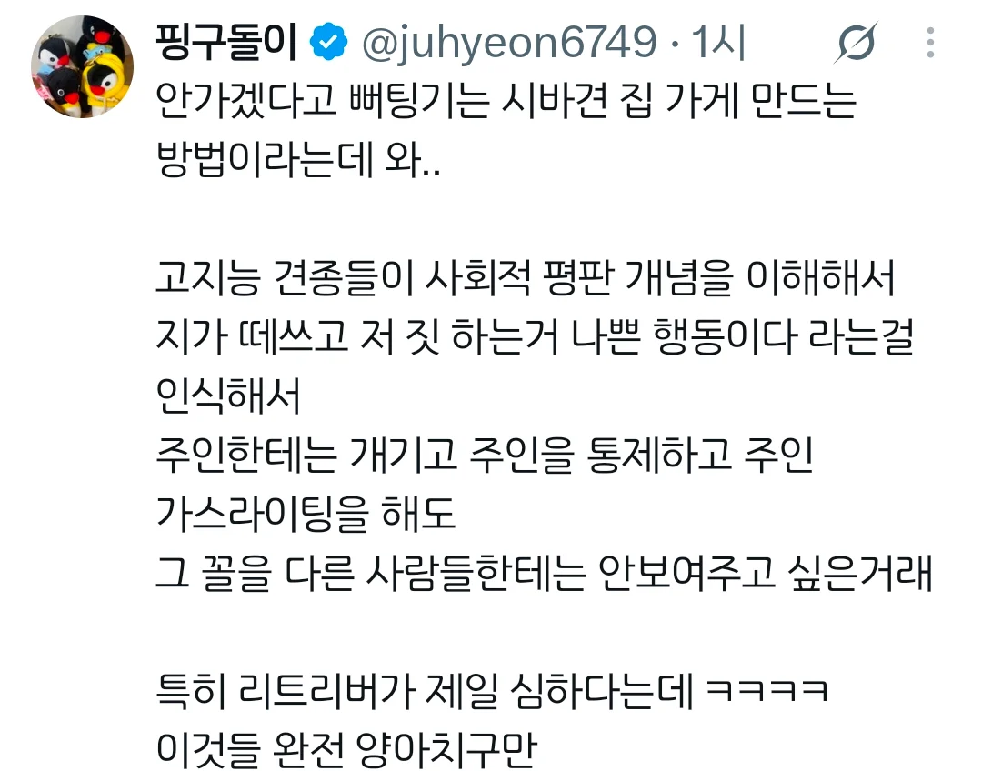집가기 싫다고 떼쓰는 강아지 꿀팁