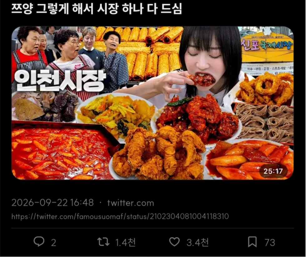 먹방 규제에 대응하는 쯔양 (2)