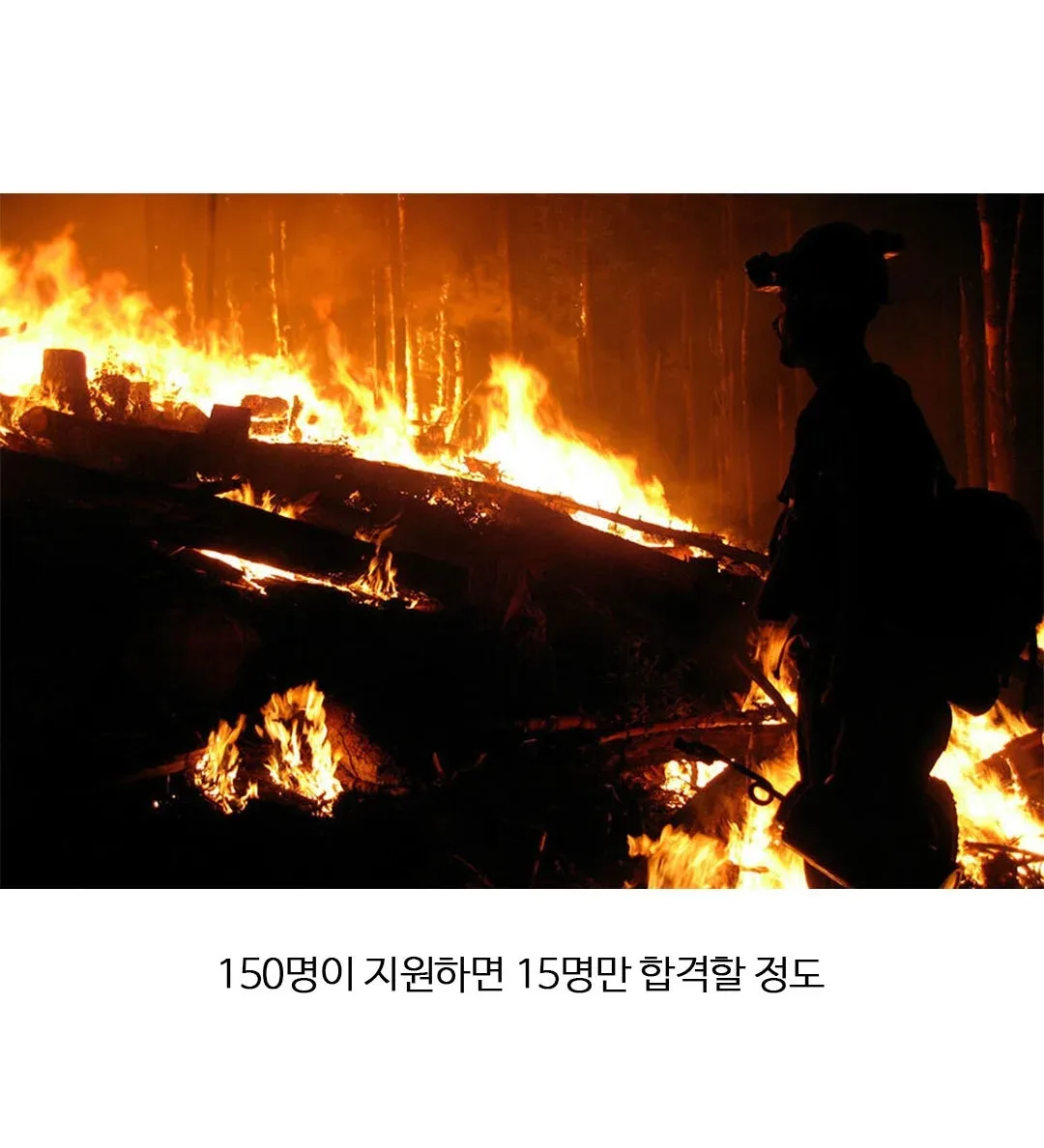 미국에서 엄청난 자랑이라는 직업 (2)
