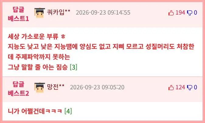 불법주차 한 사람의 마인드 (2)