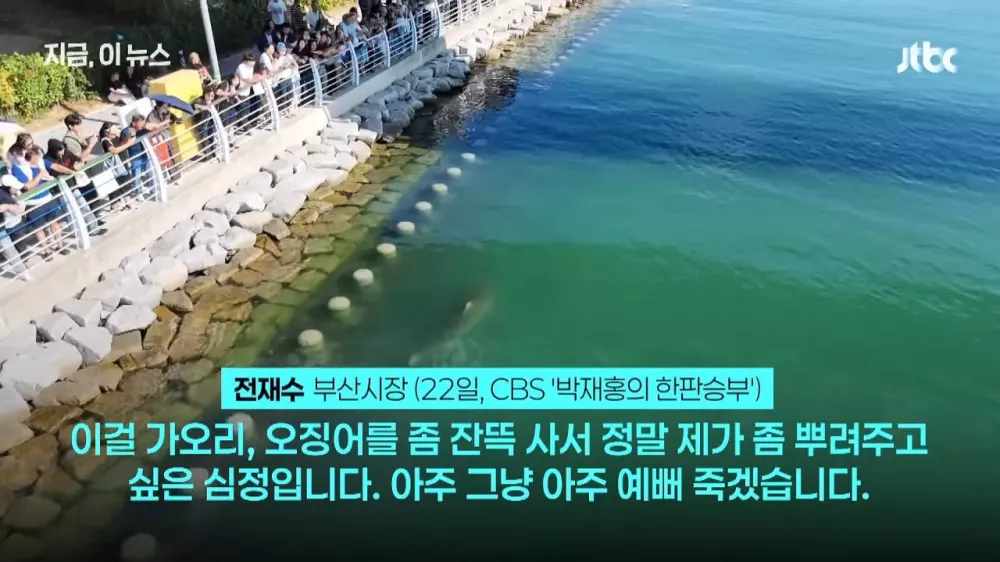 부산 상어가 예뻐죽겠다는 사람 (2)