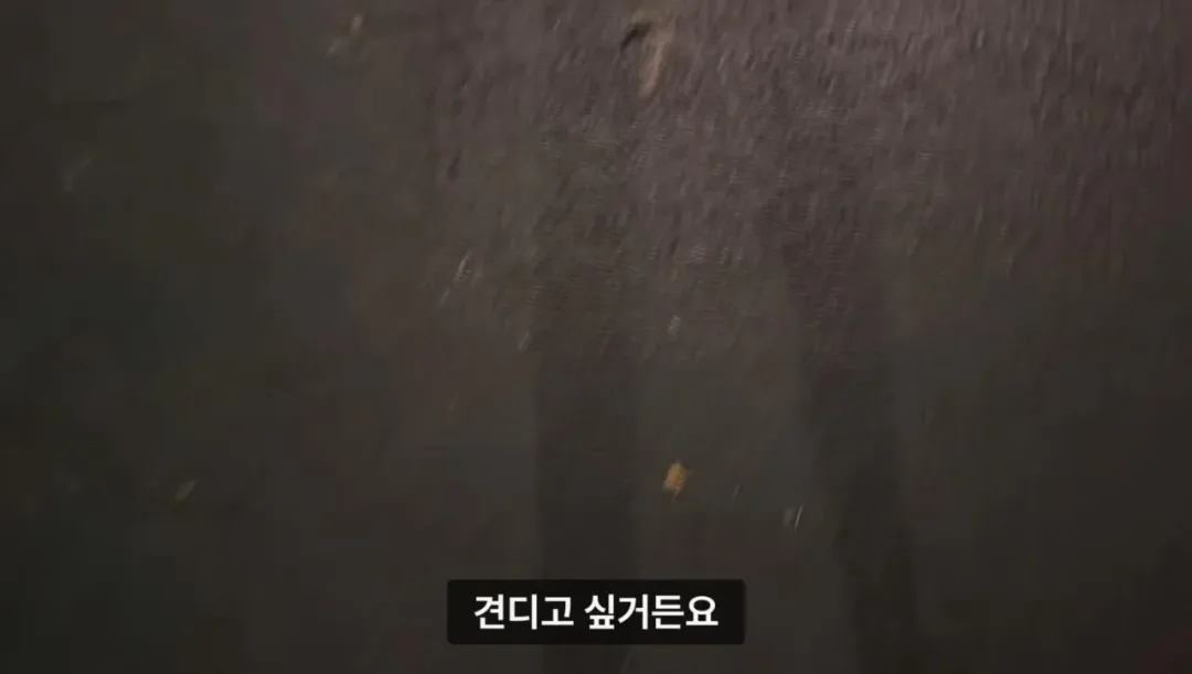 군대 안 가본 여자의 20kg 20km 행군 도전기.jpg (16)