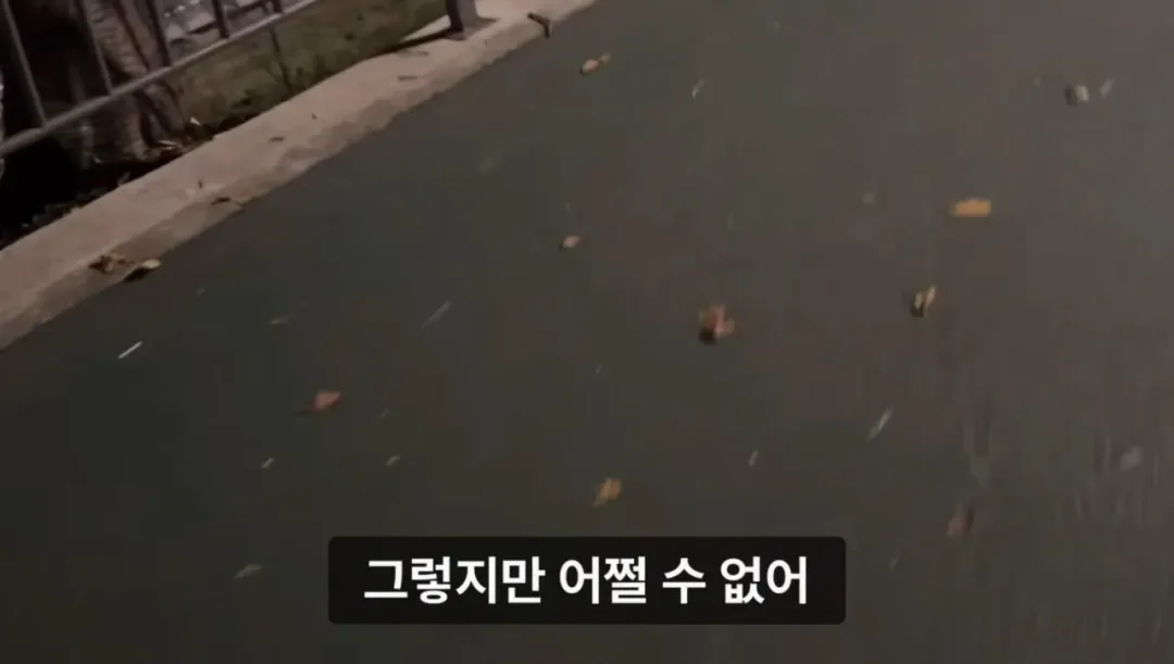 군대 안 가본 여자의 20kg 20km 행군 도전기.jpg (19)