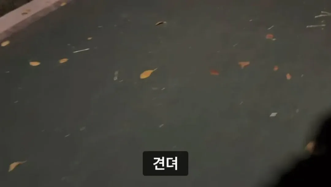 군대 안 가본 여자의 20kg 20km 행군 도전기.jpg (21)