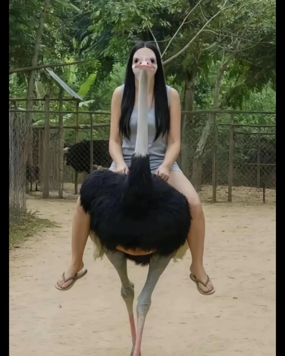 남자친구의 촬영 기술 (12)