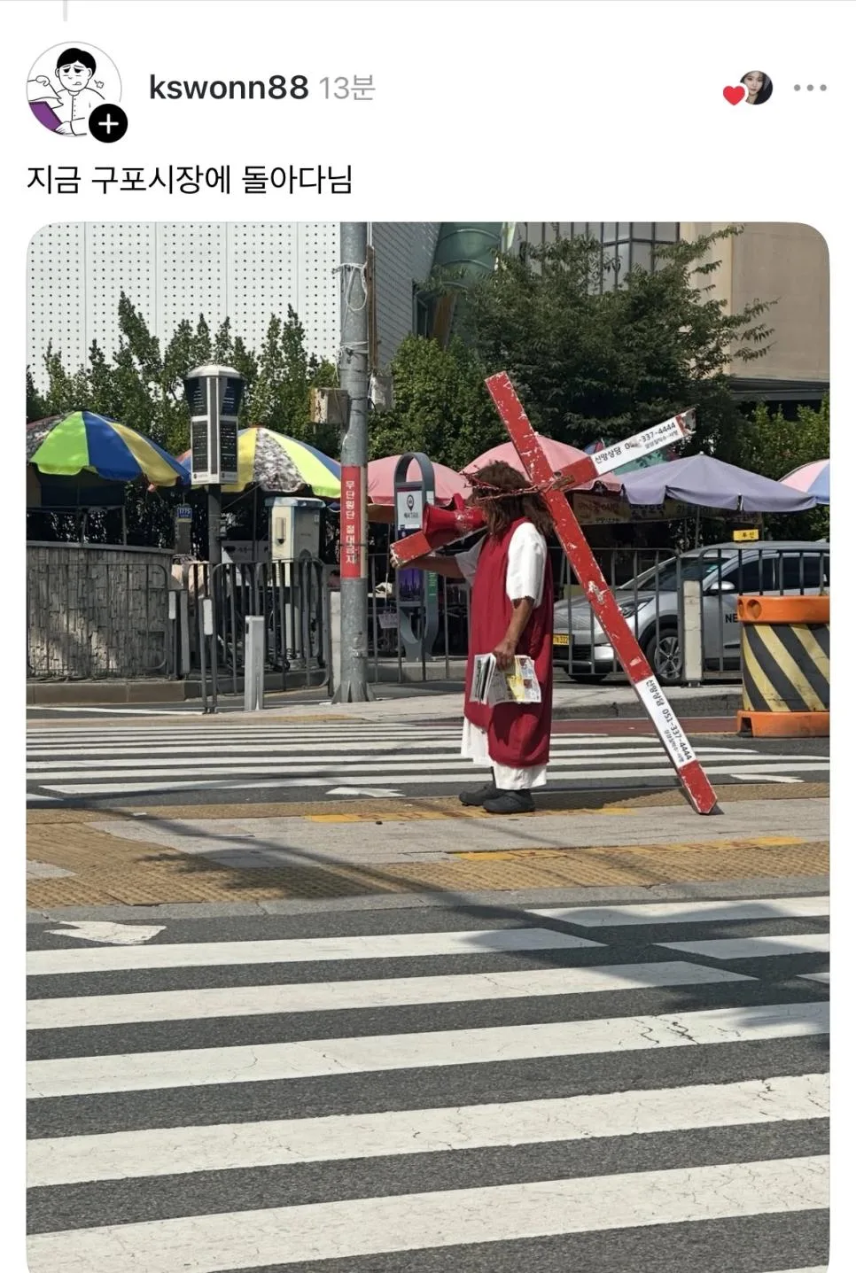 부산에 상어만 있는 줄 아나.jpg (2)