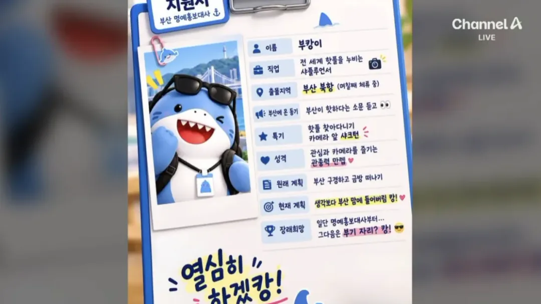 오늘 하루 부산 상어 보려고 방문한 방문객수 (11)