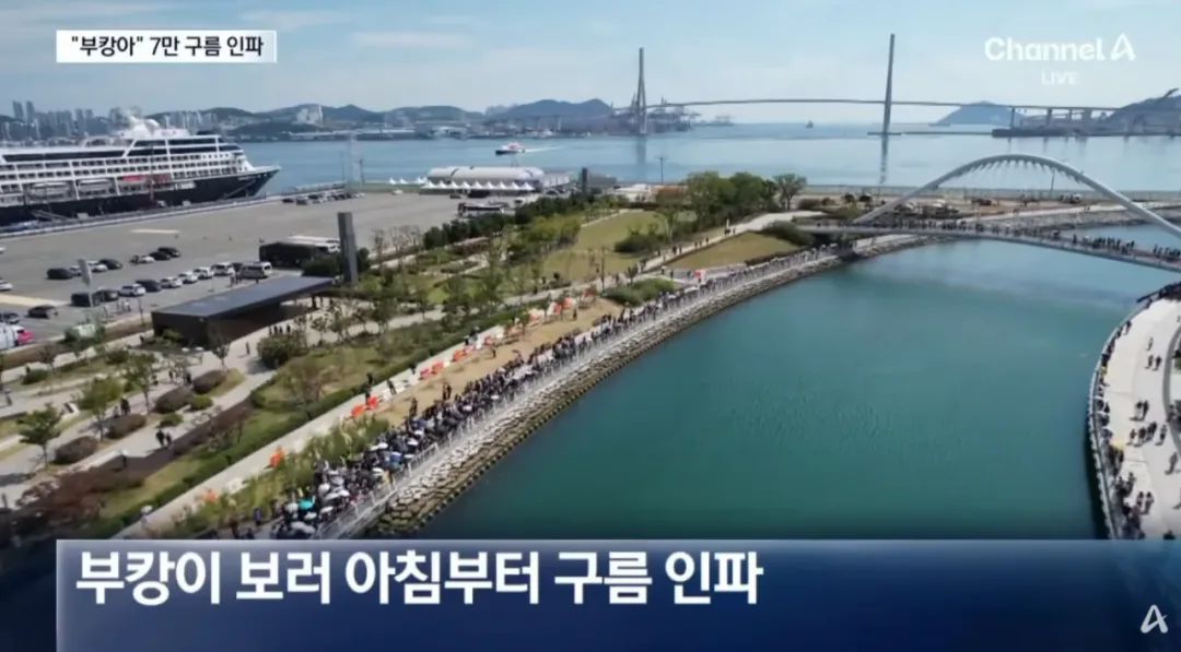 오늘 하루 부산 상어 보려고 방문한 방문객수 (3)