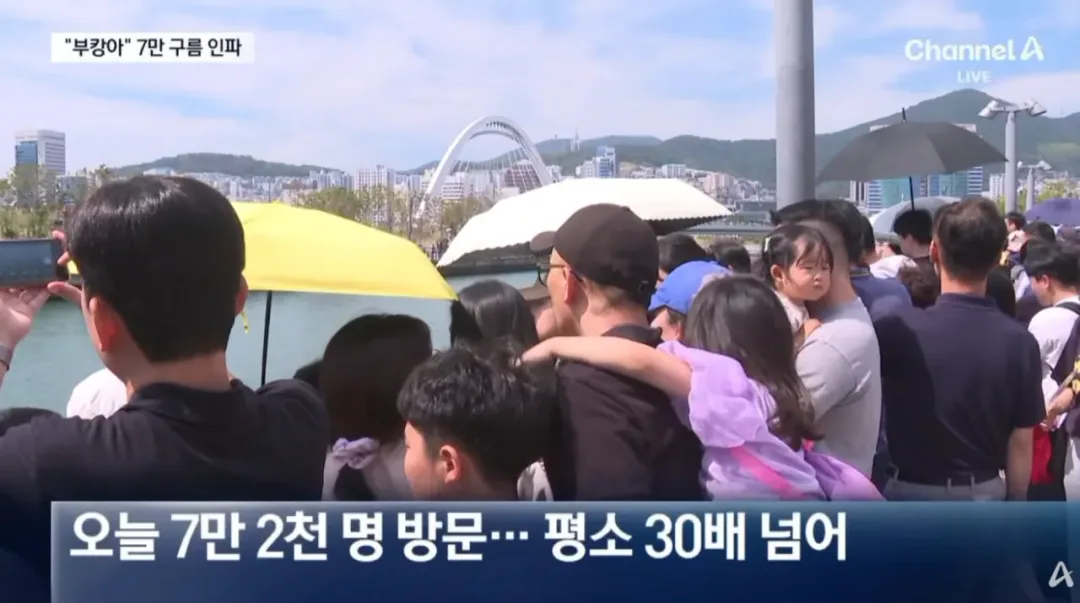 오늘 하루 부산 상어 보려고 방문한 방문객수 (4)