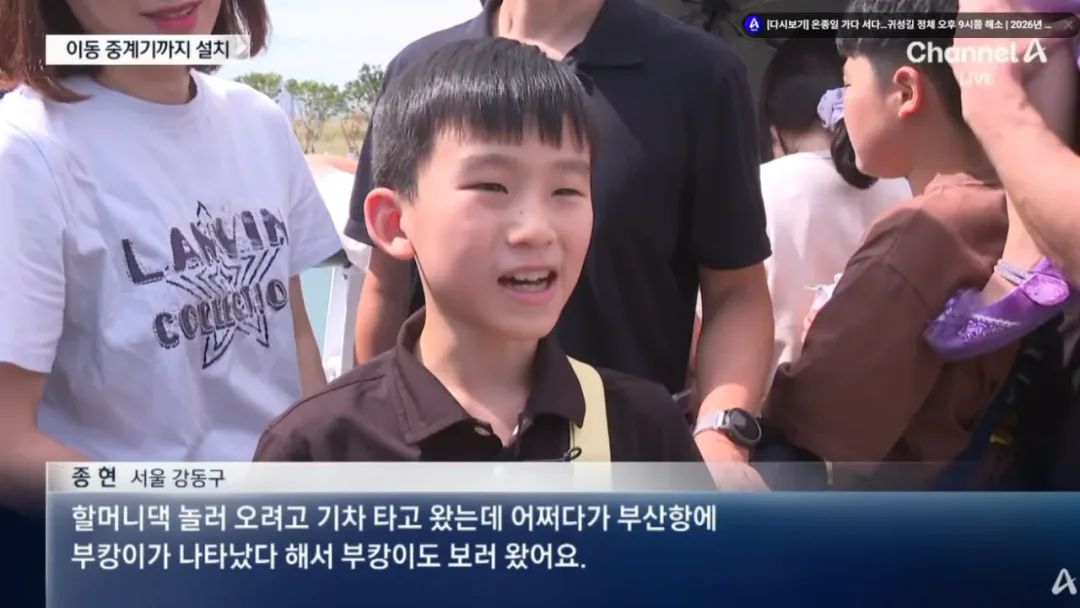 오늘 하루 부산 상어 보려고 방문한 방문객수 (6)