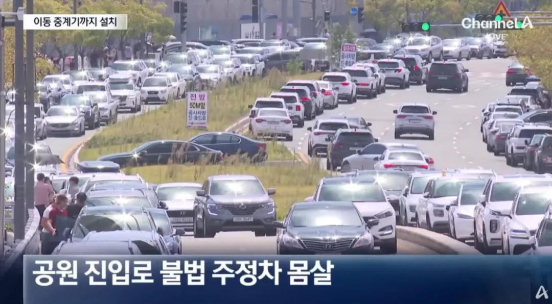 오늘 하루 부산 상어 보려고 방문한 방문객수 (8)