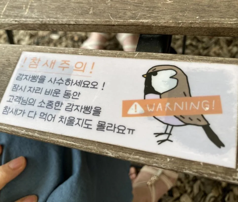 참새는 경계심도 겁도 많다고 들었는데 (5)