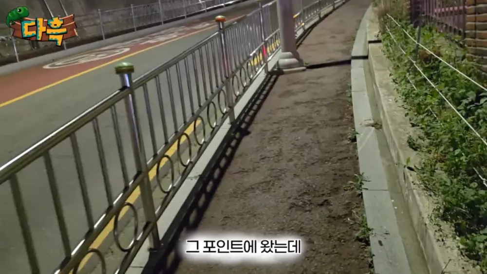 혐) 최근 부산에 자생한다는 거대 그리마 (3)