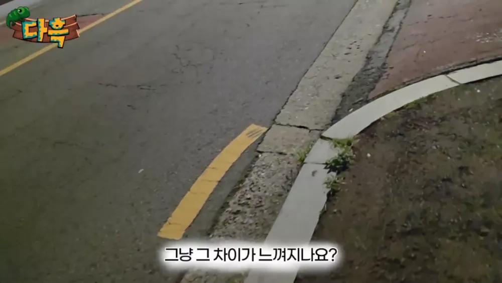혐) 최근 부산에 자생한다는 거대 그리마 (5)