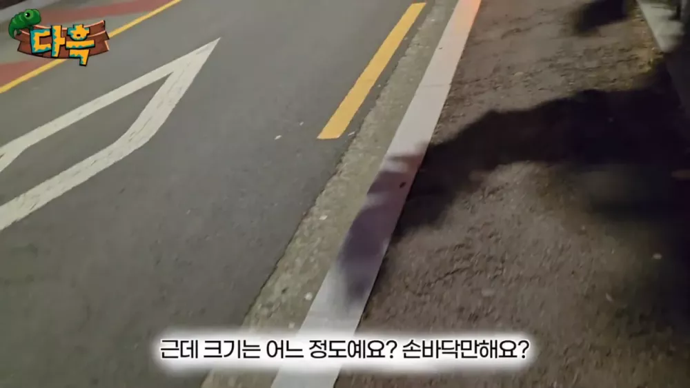 혐) 최근 부산에 자생한다는 거대 그리마 (7)