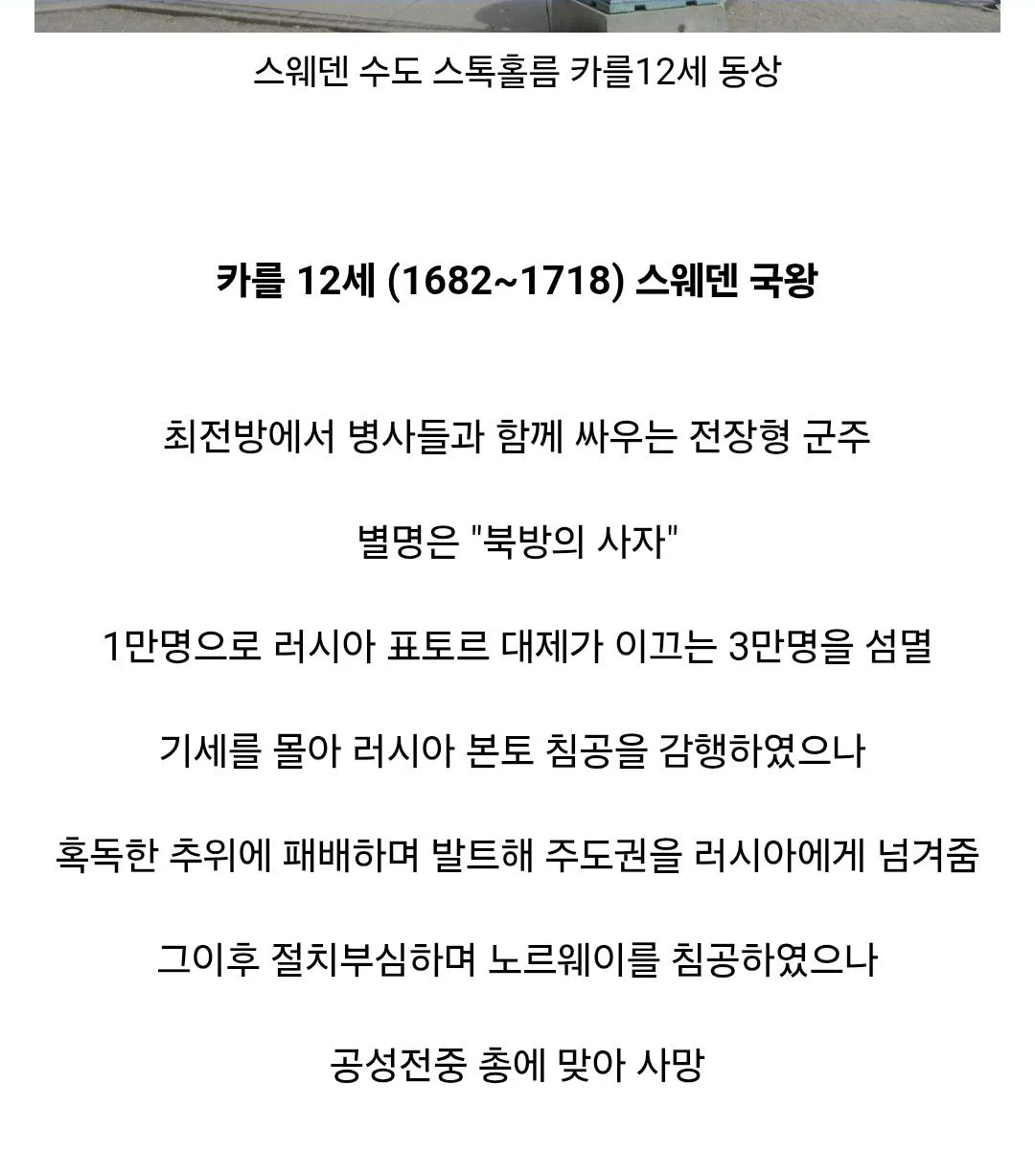 관자놀이에 총을 맞아 사망한 스웨덴 국왕 (3)