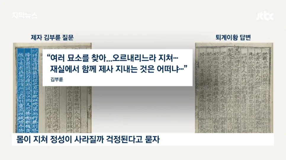 성묘 & 벌초에 고심하던 600년 종가의 결단 (17)