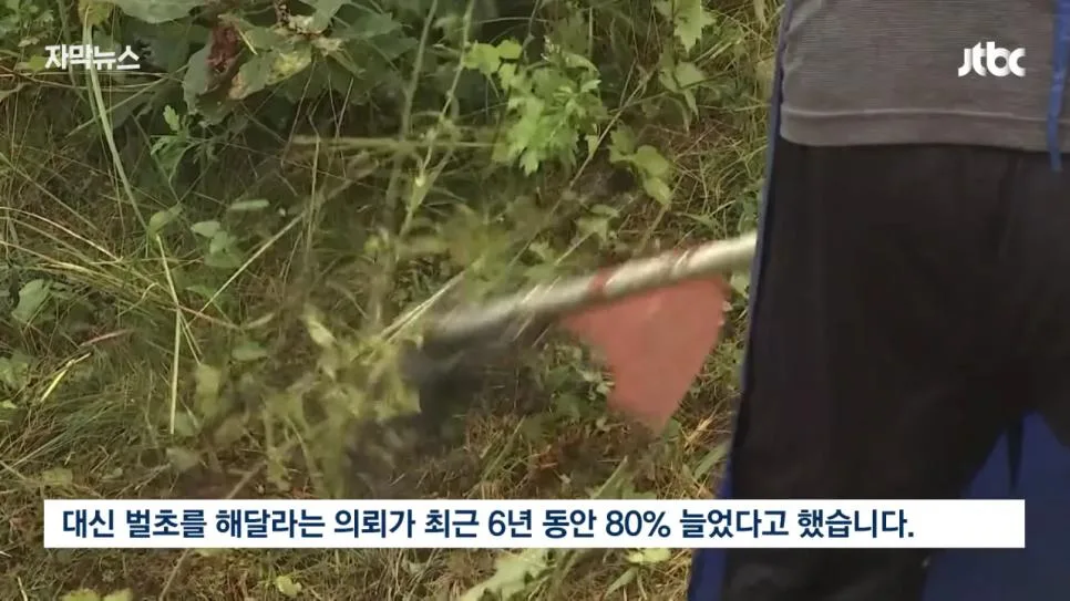 성묘 & 벌초에 고심하던 600년 종가의 결단 (2)