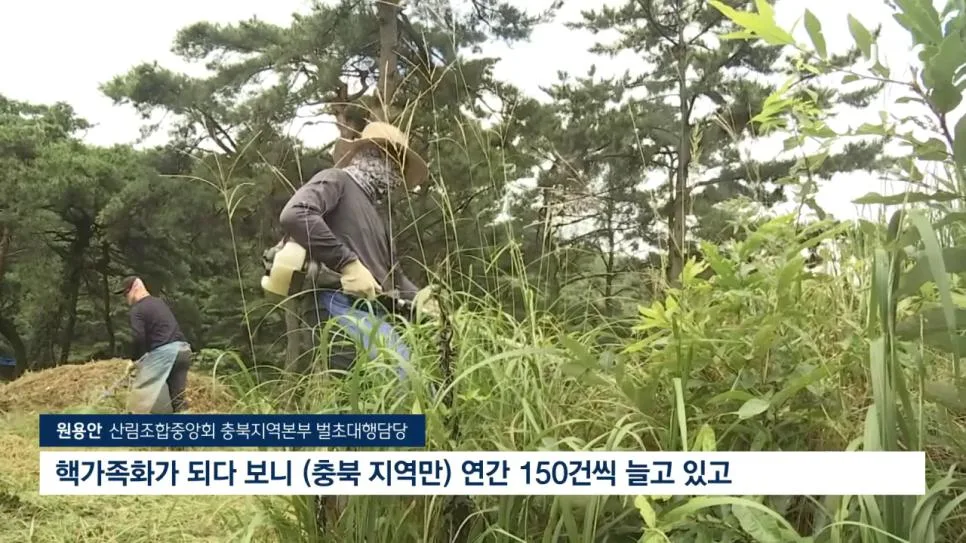 성묘 & 벌초에 고심하던 600년 종가의 결단 (3)