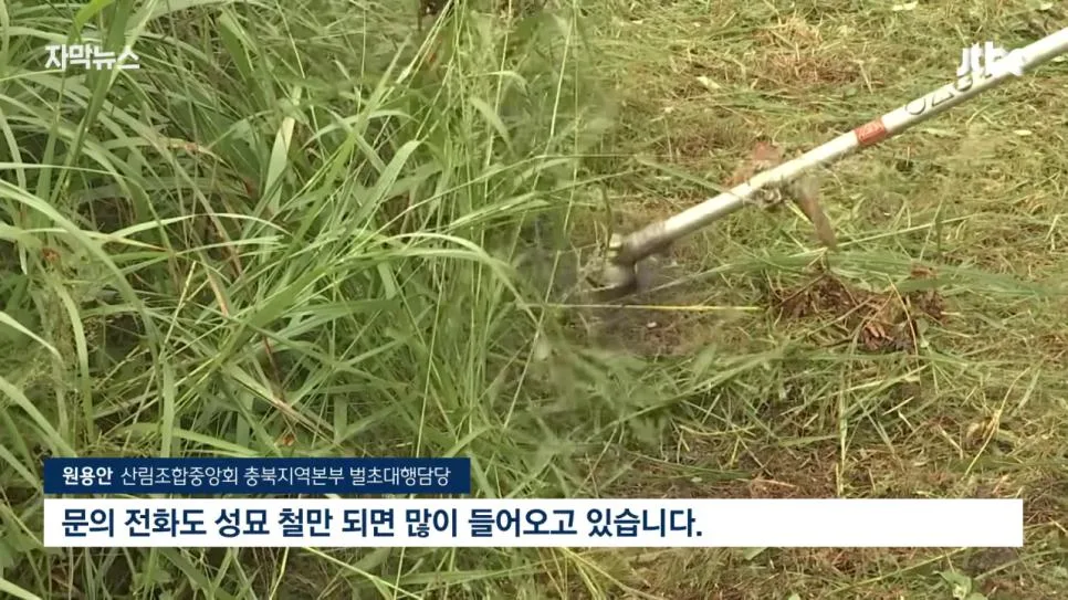 성묘 & 벌초에 고심하던 600년 종가의 결단 (4)