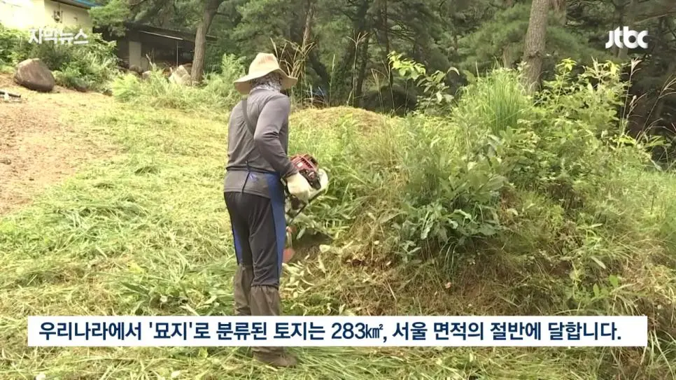 성묘 & 벌초에 고심하던 600년 종가의 결단 (5)