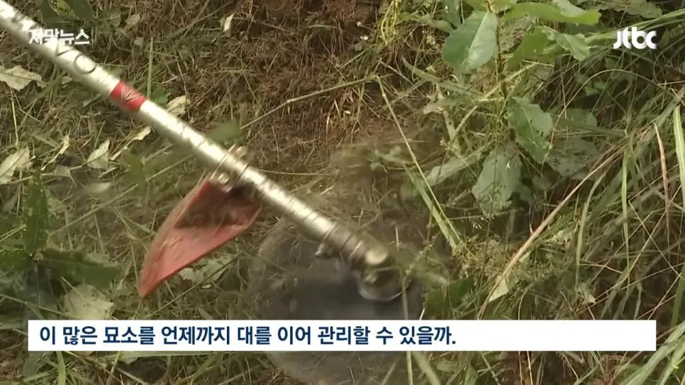 성묘 & 벌초에 고심하던 600년 종가의 결단 (6)