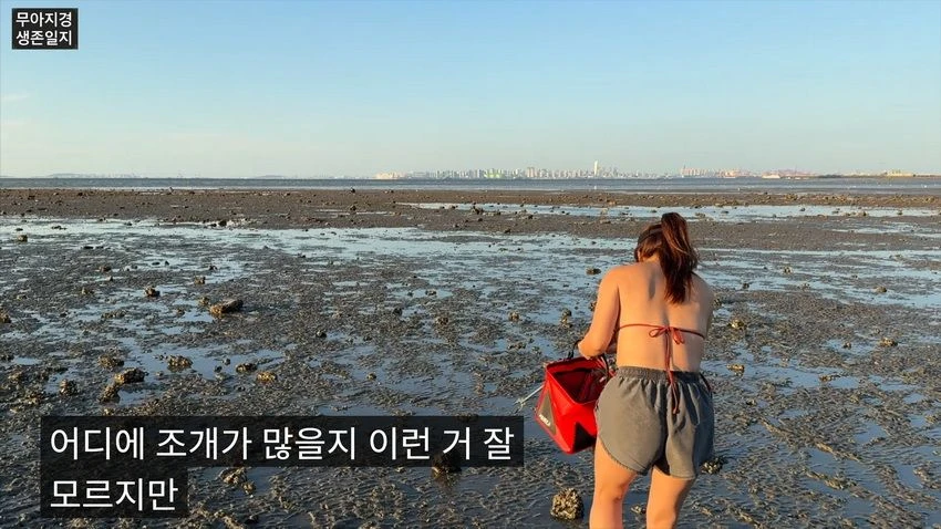 비키니 입고 갯벌에서 조개 캐는 유튜버 (12)