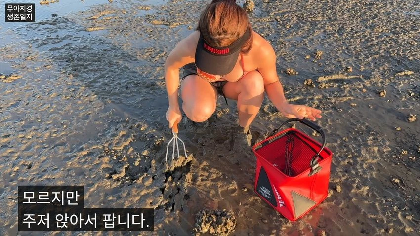 비키니 입고 갯벌에서 조개 캐는 유튜버 (13)