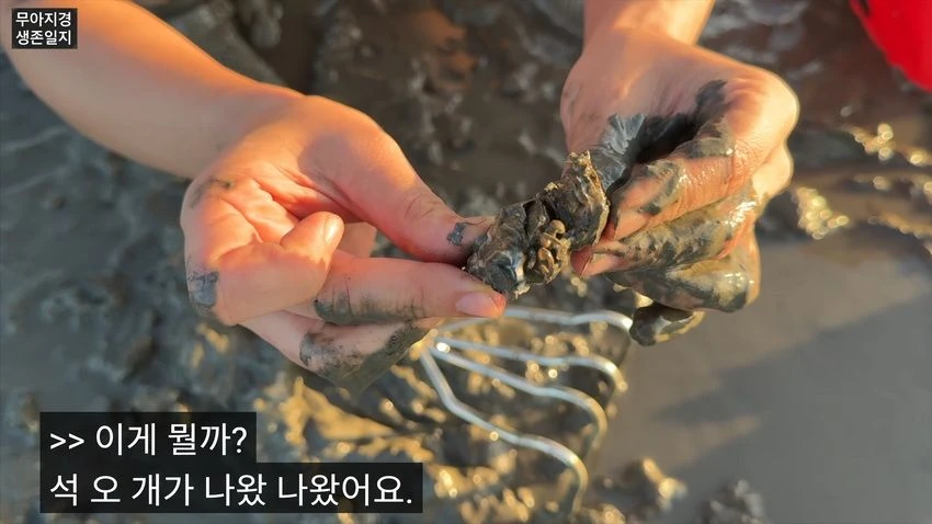 비키니 입고 갯벌에서 조개 캐는 유튜버 (14)
