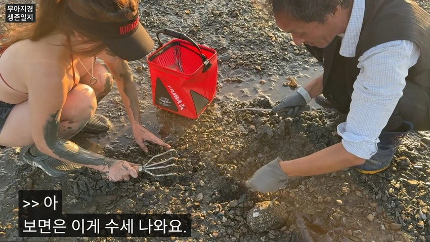 비키니 입고 갯벌에서 조개 캐는 유튜버 (17)