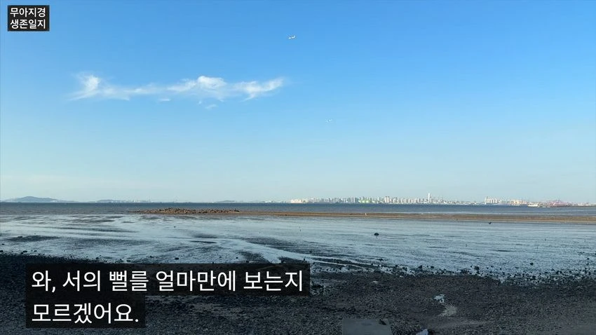 비키니 입고 갯벌에서 조개 캐는 유튜버 (8)