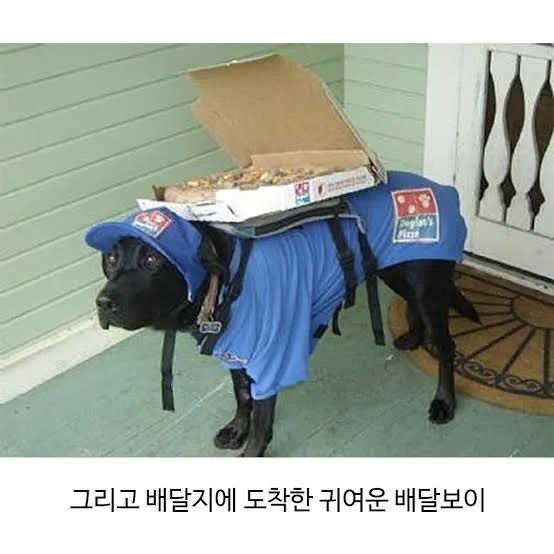 요청사항을 정확히 들어준 피자집 (2)