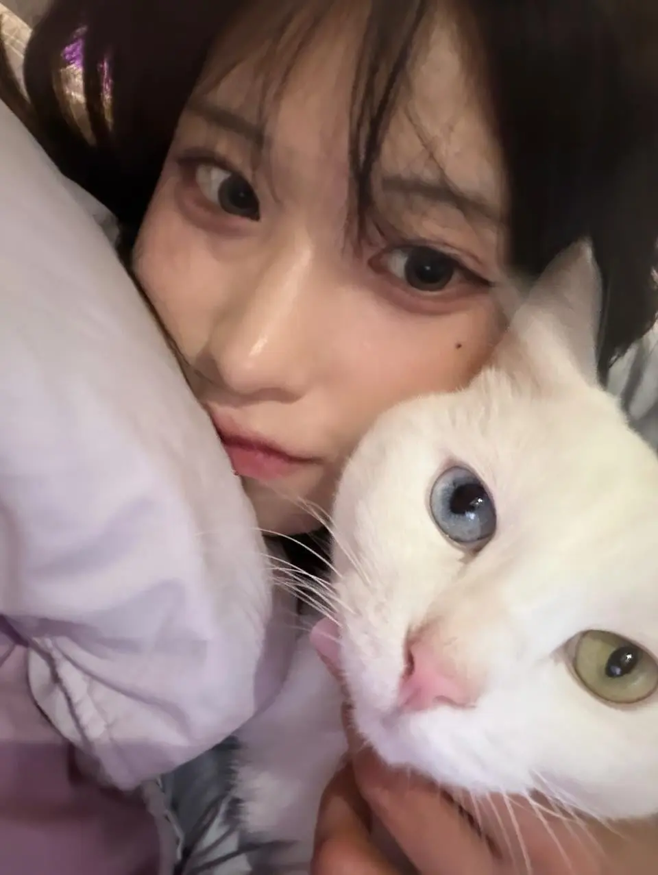 (ㅇㅎ) 꾹꾹이 받는 명아츄 (5)