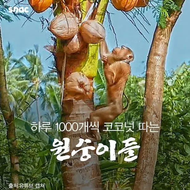 오늘도 연전연승 중인 성재기 (2)