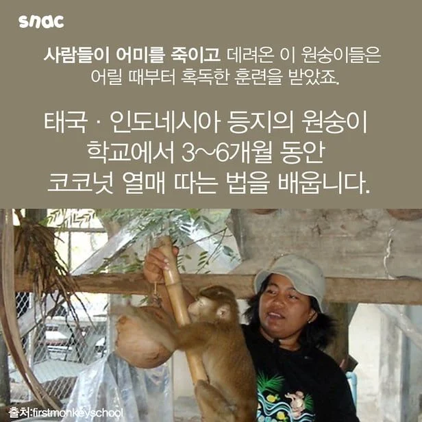 오늘도 연전연승 중인 성재기 (3)