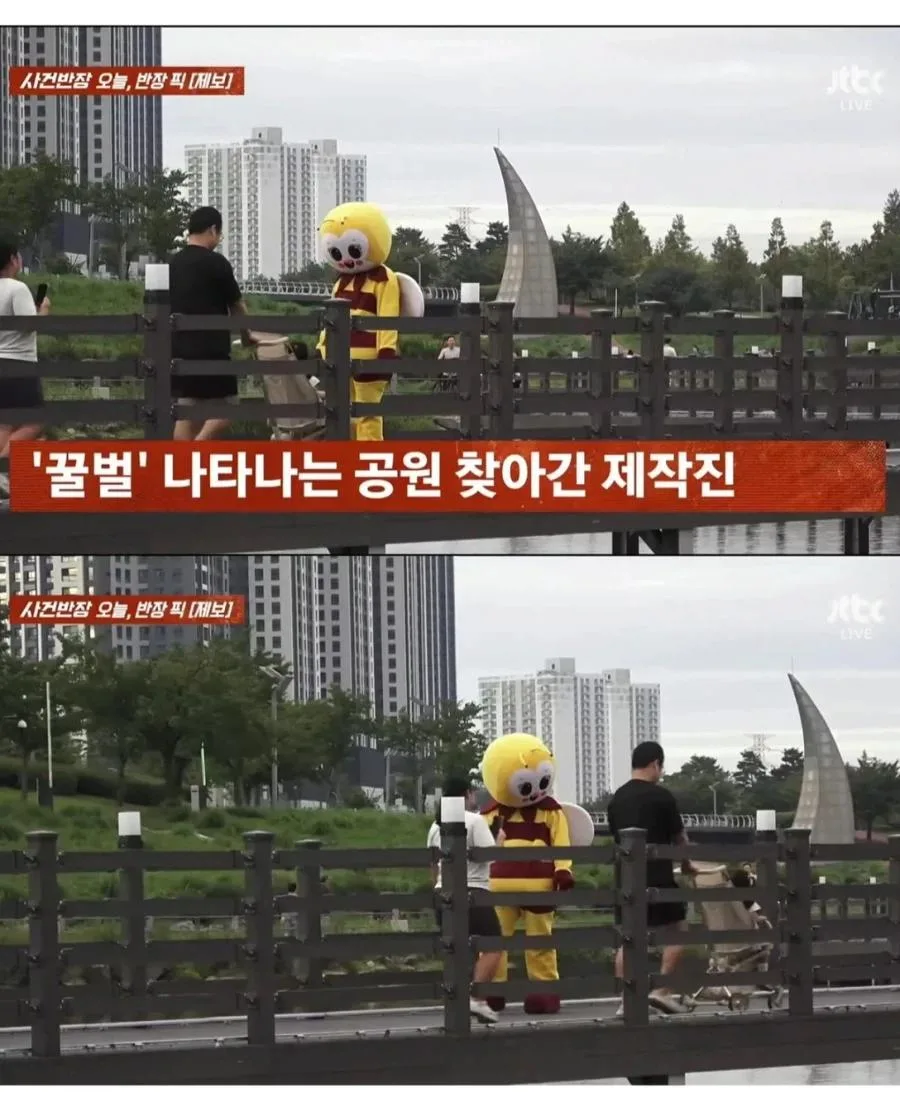 촬영 싫다는 꿀벌 인형탈 억지로 찍어 내보낸 JTBC 사건반장 (2)