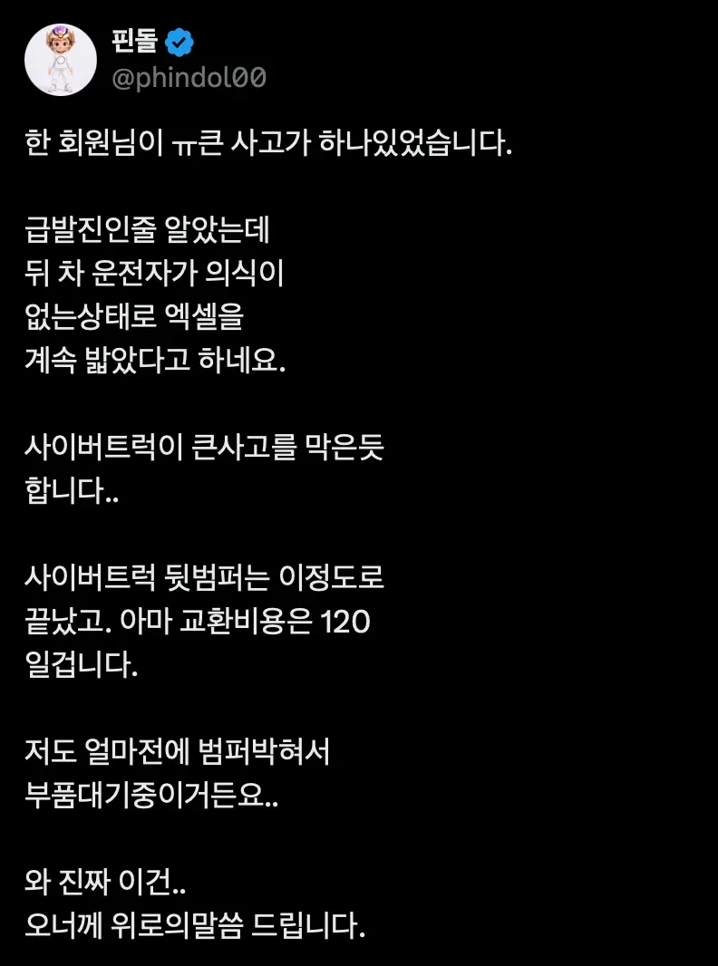 카니발 사이버트럭 추돌사고 (2)