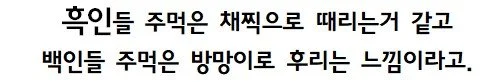 백인의 펀치와 흑인의 펀치 차이 (2)