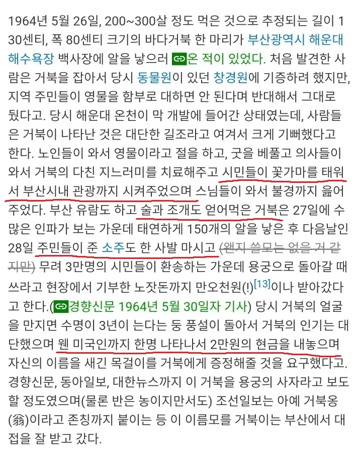 부캉이에 앞서서 먼저 부산에 와서 풀코스 즐기고 간 동물 (3)