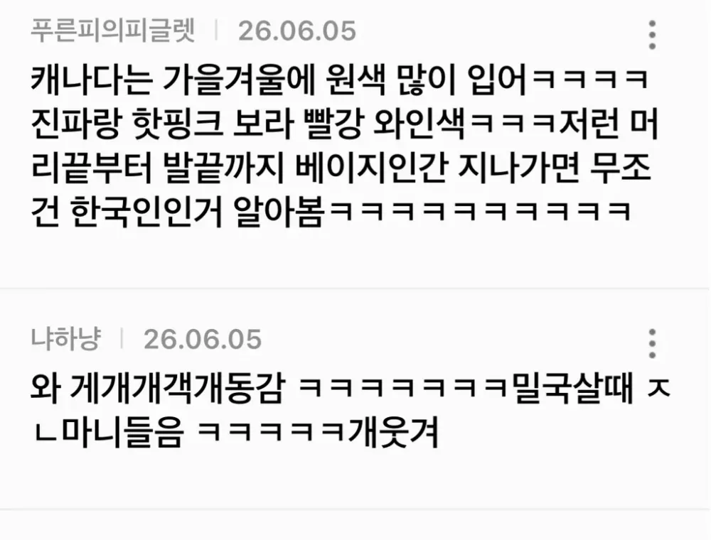 해외 살 때 진짜 많이 들었던 코리안 컬러 (4)