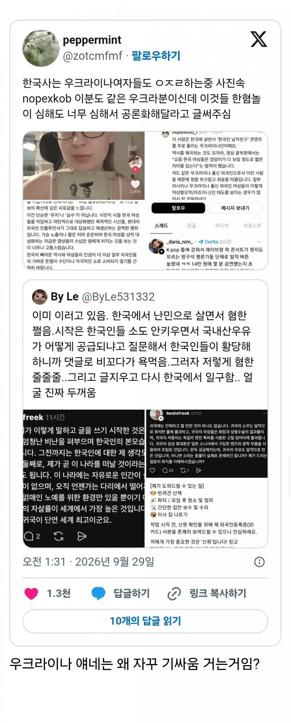 한국에 살면서 혐한하는 우크라이나인들 (7)