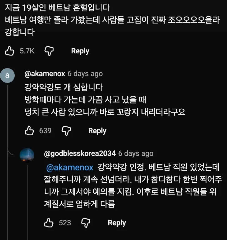 베트남에서 10년간 살았던 사람이 평가하는 베트남