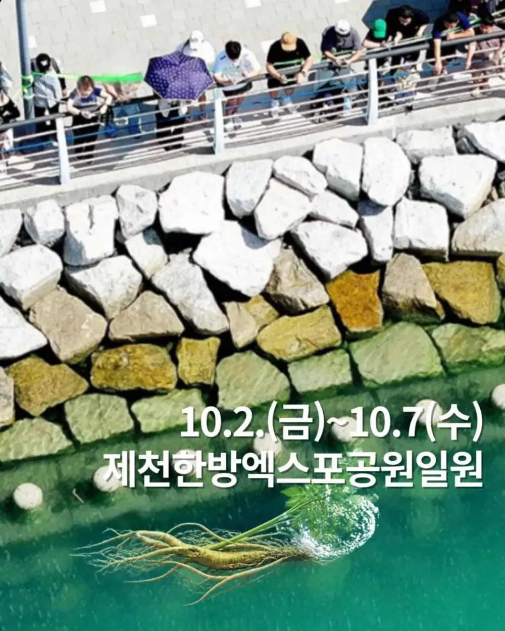 부캉이가 부러웠던 제천시 (2)